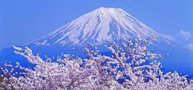 japanese_fuji